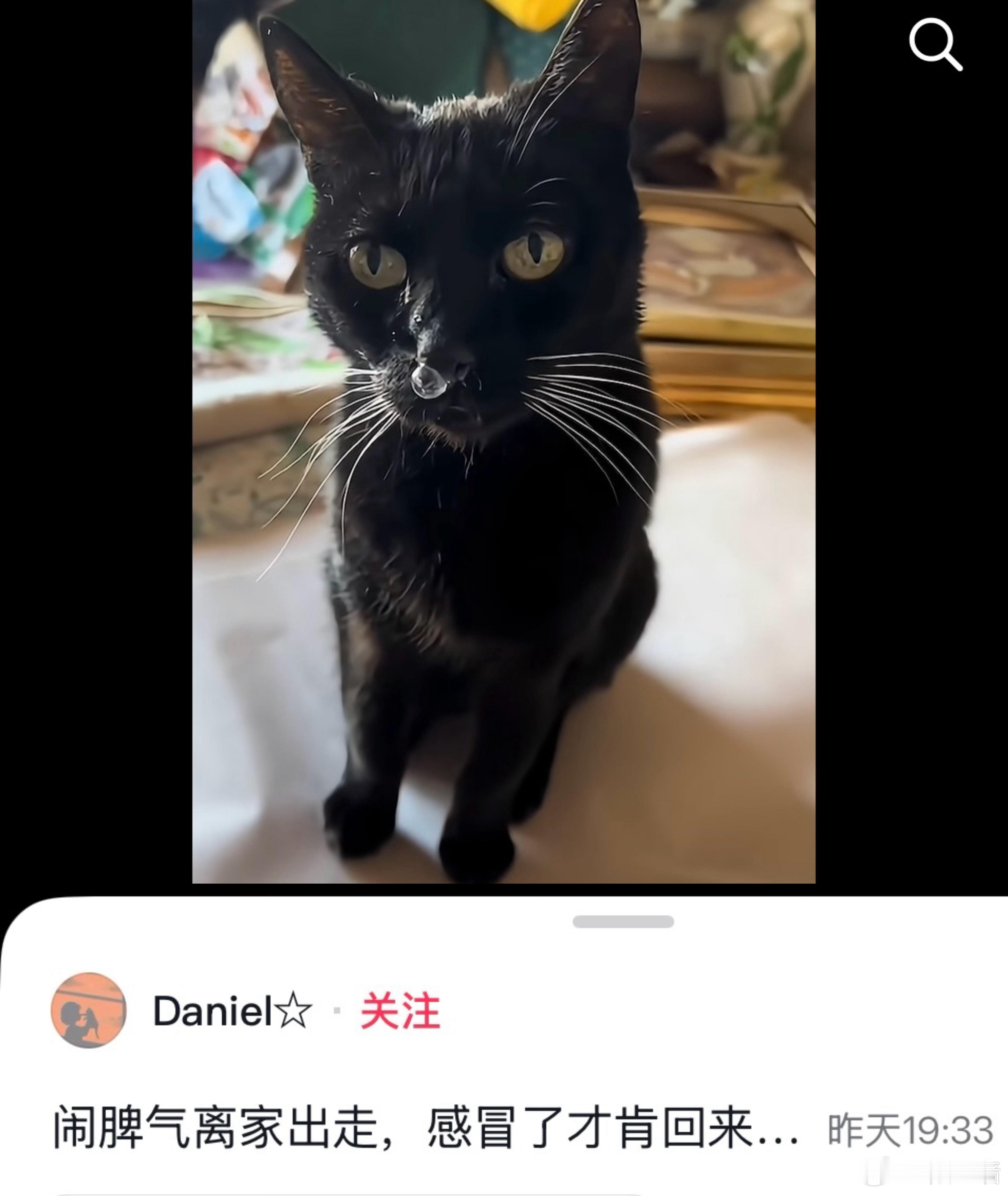 我的攻 
