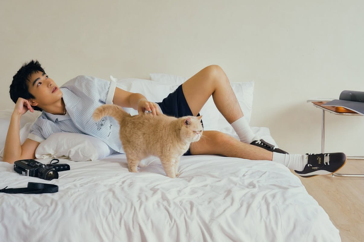 曾敬骅完全是我的爱猫男友 