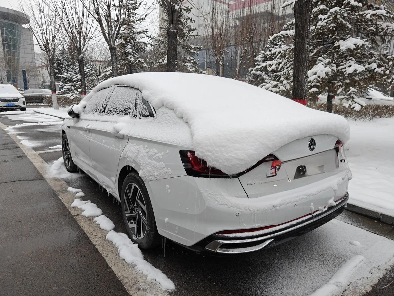 春日生活打卡季你们都说春暖花开，但是本地偏偏下大雪，好像是要补足24年冬季的下雪