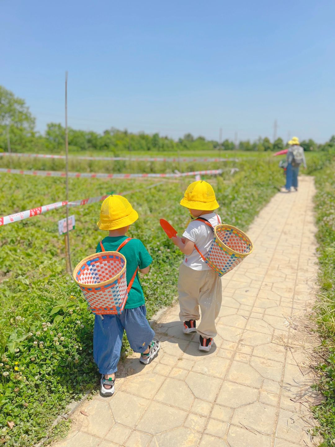 幼儿园新型欺凌悄悄流行，孩子毫无觉察