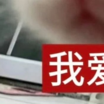 0000阿夏夏养猫准则 人生没有彩排，每天都是精彩的比赛，所以，再苦，也要学会坚