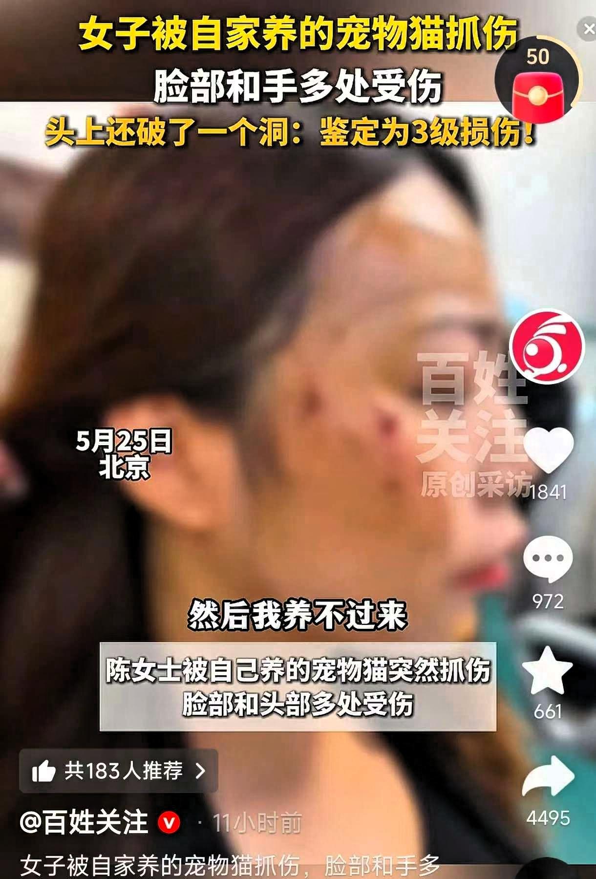 太吓人了！北京，一女子从同事手中接回之前送养的小猫，没想到刚到家，自家养了两年的