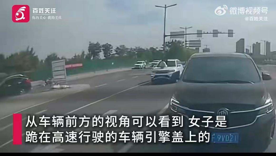 引擎盖上的跪坐，哪是夫妻吵架的赌气，分明是拿两条命在马路上演惊悚片。
 
高速行