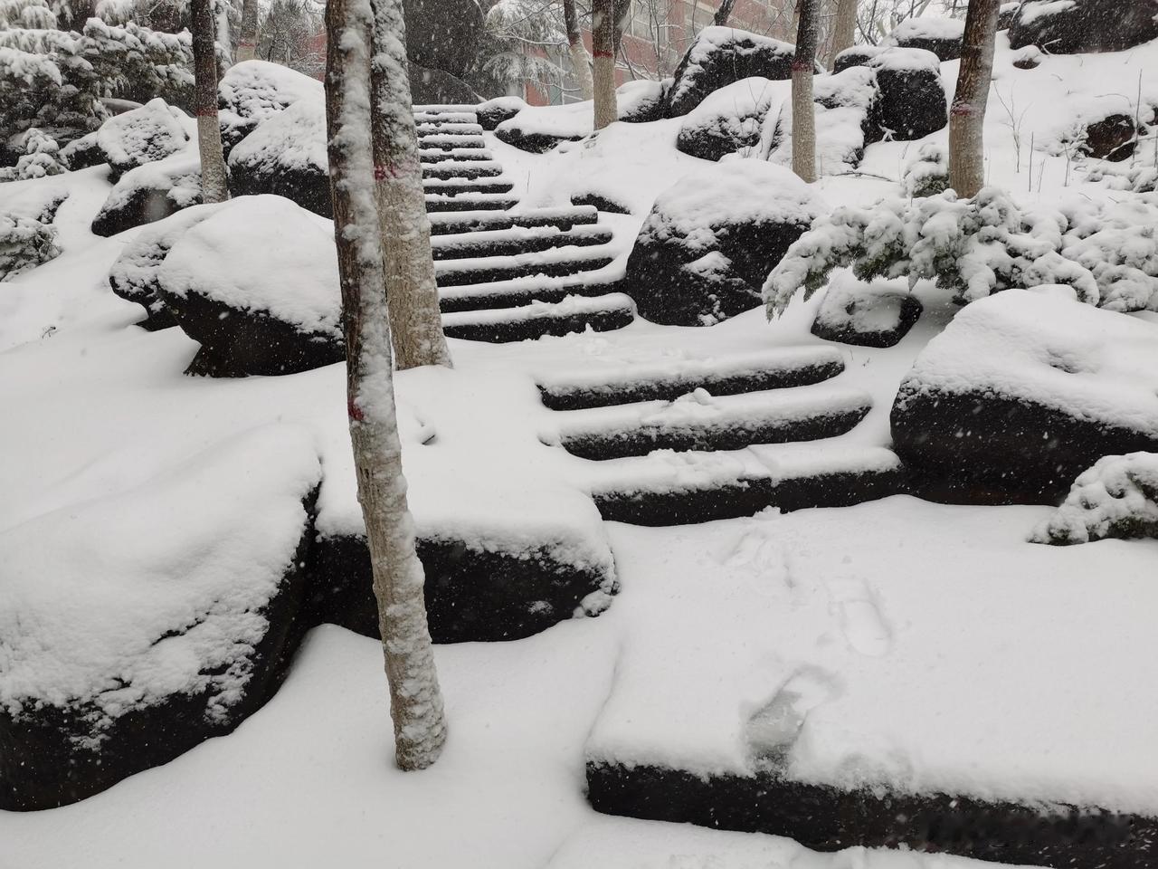 暴雪无影山校区
       3月2日0时至20时，济南市区暴雪，为该时期降雪量