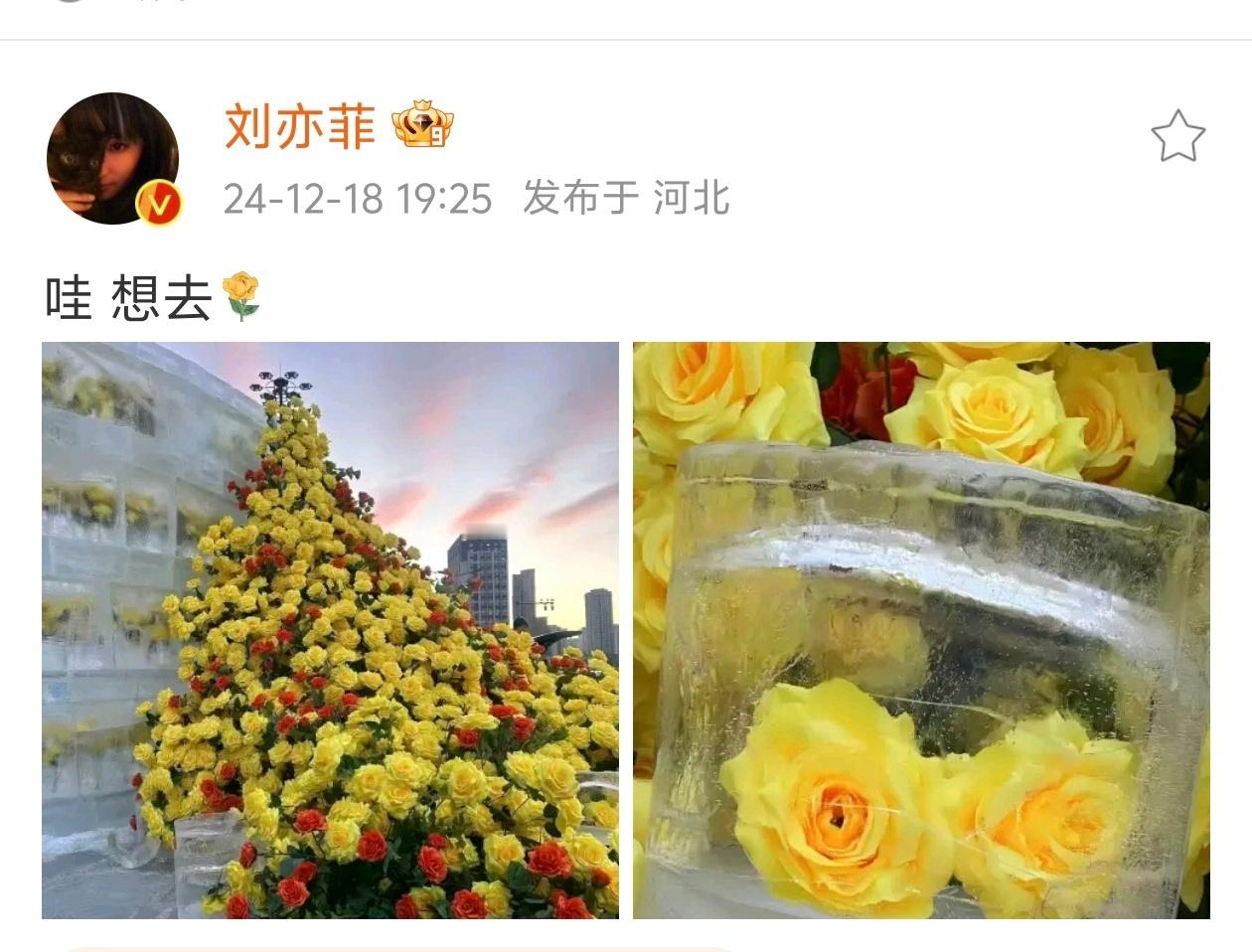 刘亦菲主演的《玫瑰的故事》影响力太大了，自从播出以后，黄玫瑰从年中火到年尾。[笑
