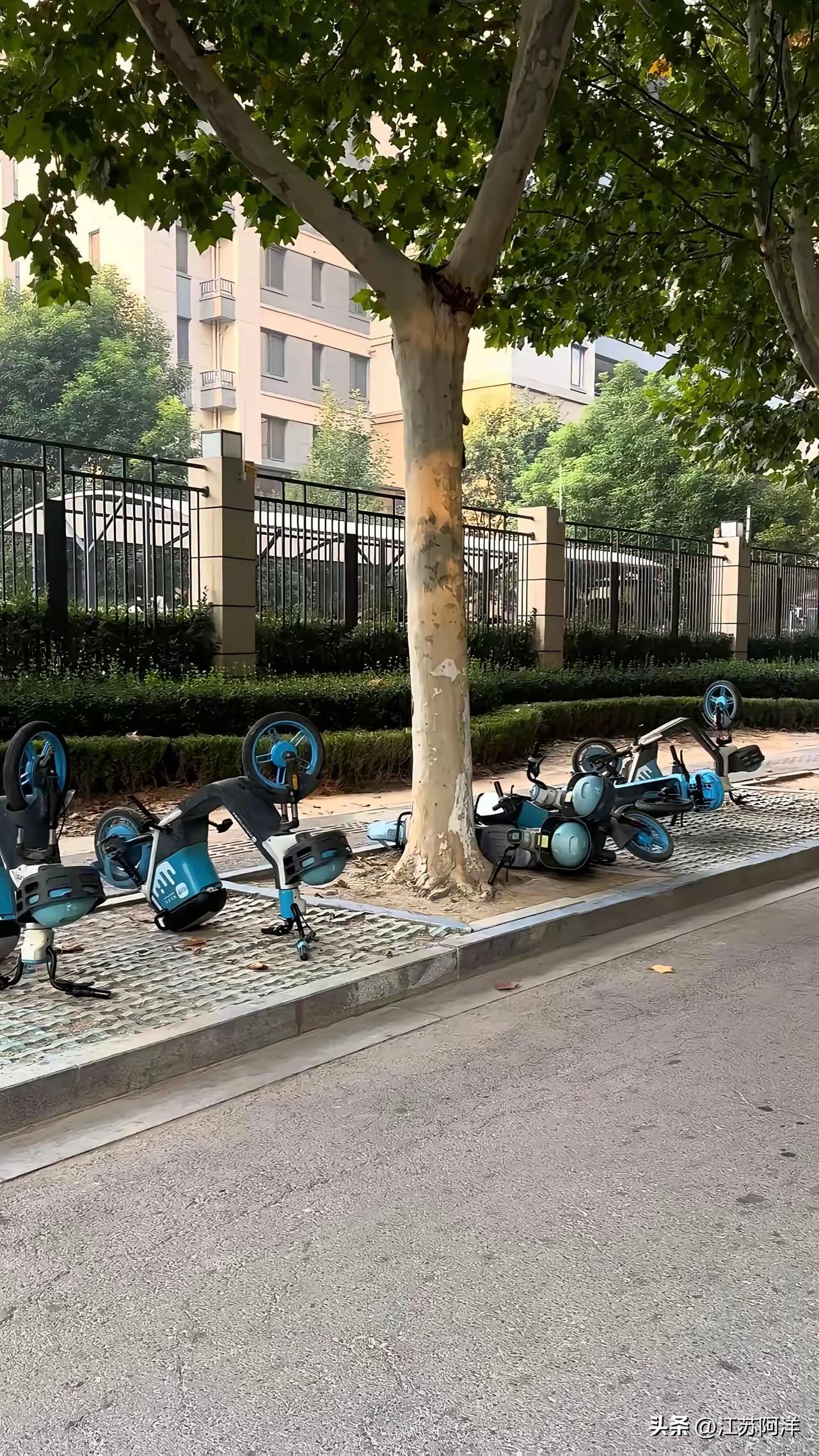 邳州作为江苏省文明城市、全国文明城市，竟然出现这样的败类抹黑家乡，实属不该。
 
