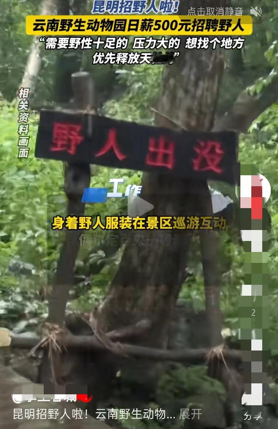 打工人摸鱼不如当“野人”！云南野生动物园日薪500招野人，这波操作绝绝子
 
嘿