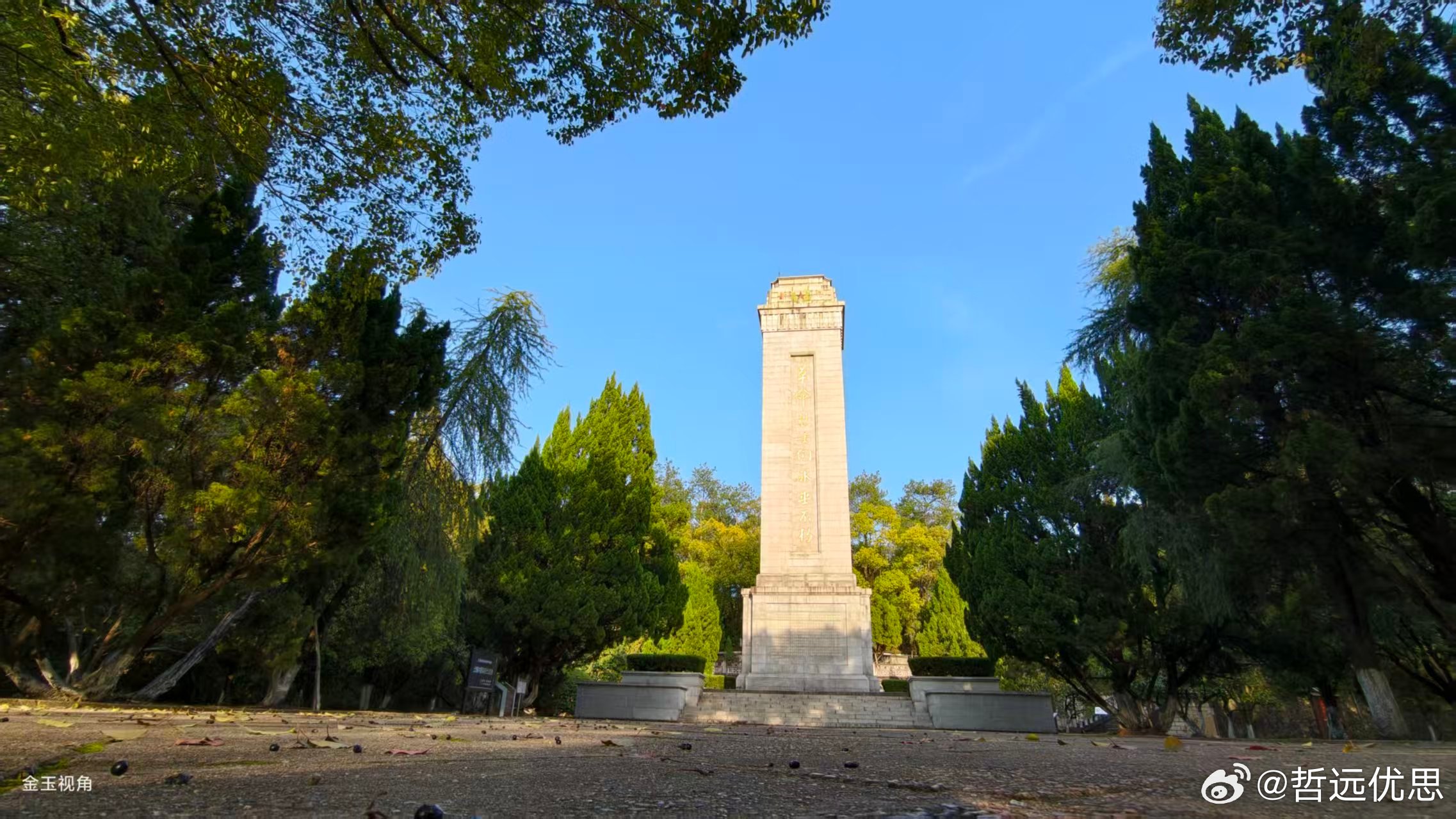 原来上饶的树替我们爱了烈士几十年 今天在上饶，看到了最动人的一幕。   烈士碑被