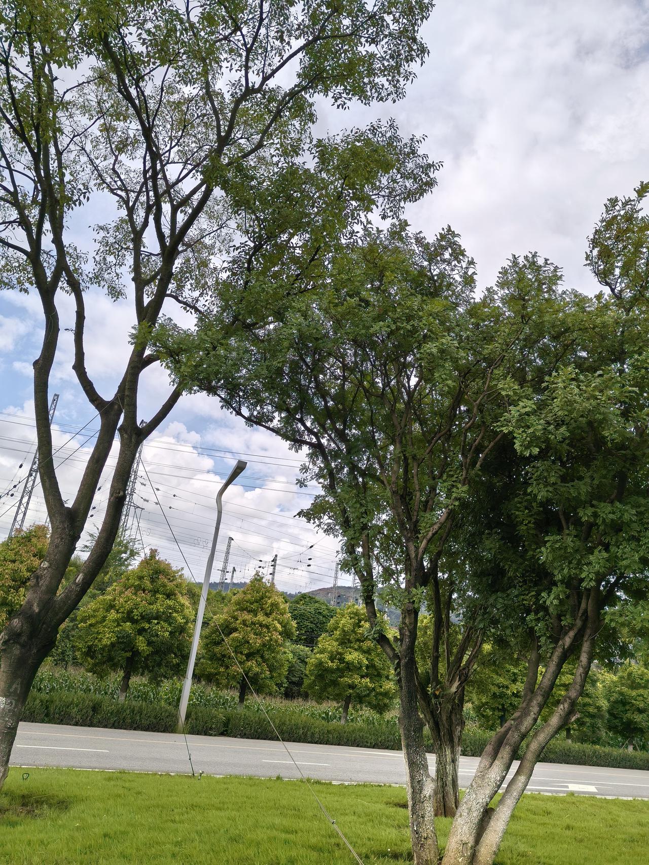 1.再小的环节都有隐藏的巨大的风险，再不起眼的作业习惯都会导致巨大的问题发生，再