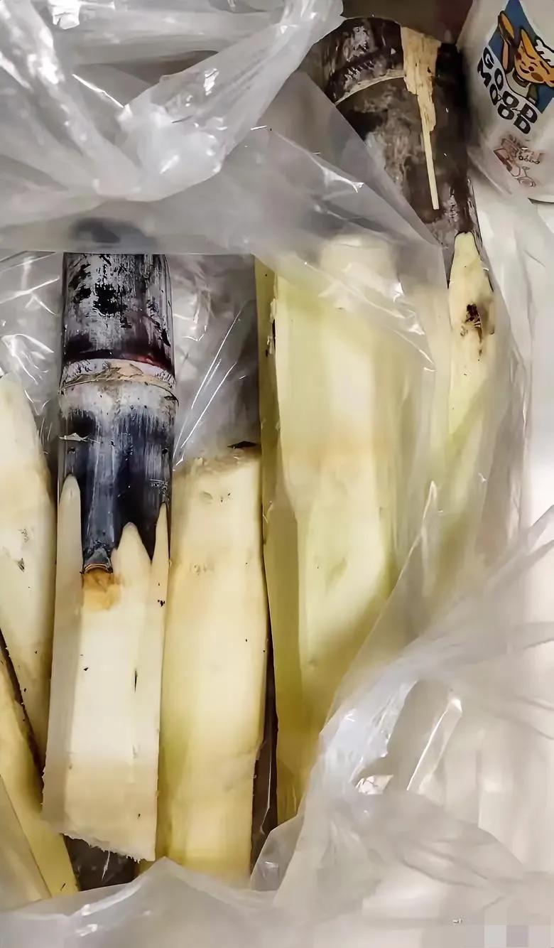 真的被路边卖甘蔗的老板给秀到了！

孩子甲流后总咳嗽，正琢磨着买根甘蔗熬水润肺，