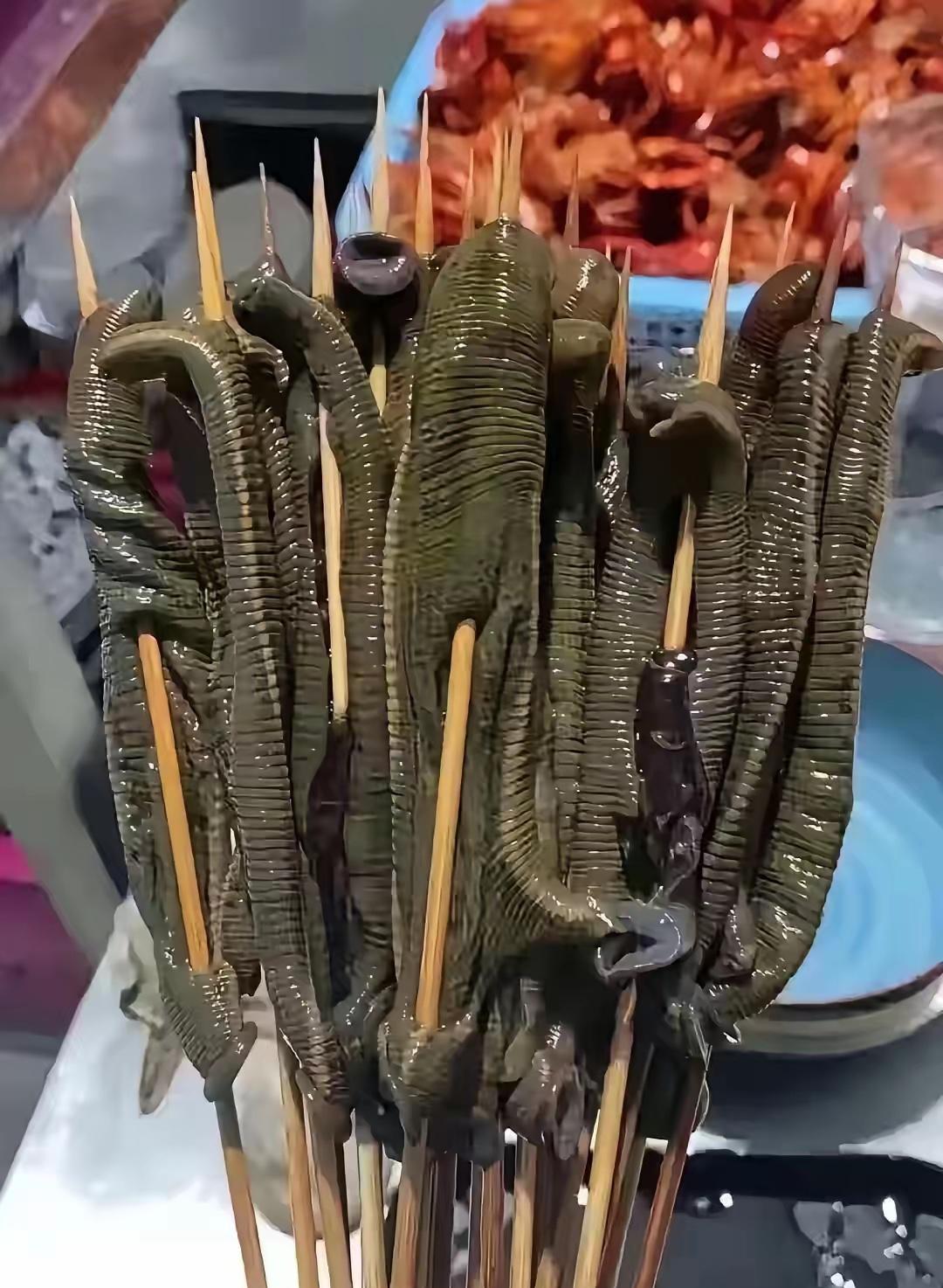 天上飞的，地下走的，水里游的，没什么不能吃的，只要是肉搞出来都是香的，有人知道这