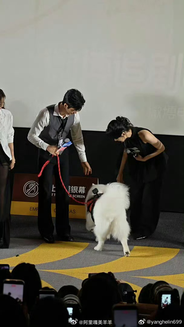 井柏然孙千现场抢狗早春晴朗男女主线下直接跑偏，不聊剧情先抢狗，这俩是把对角色的执