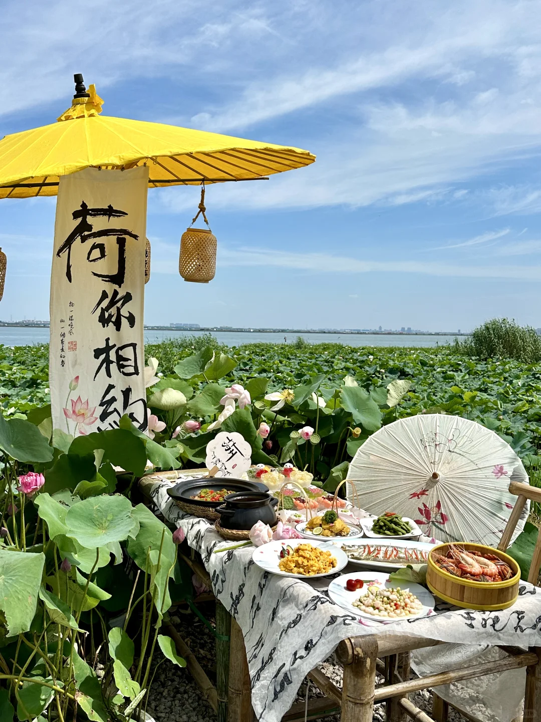 苏州的….莲花岛的农家乐太美了！！！