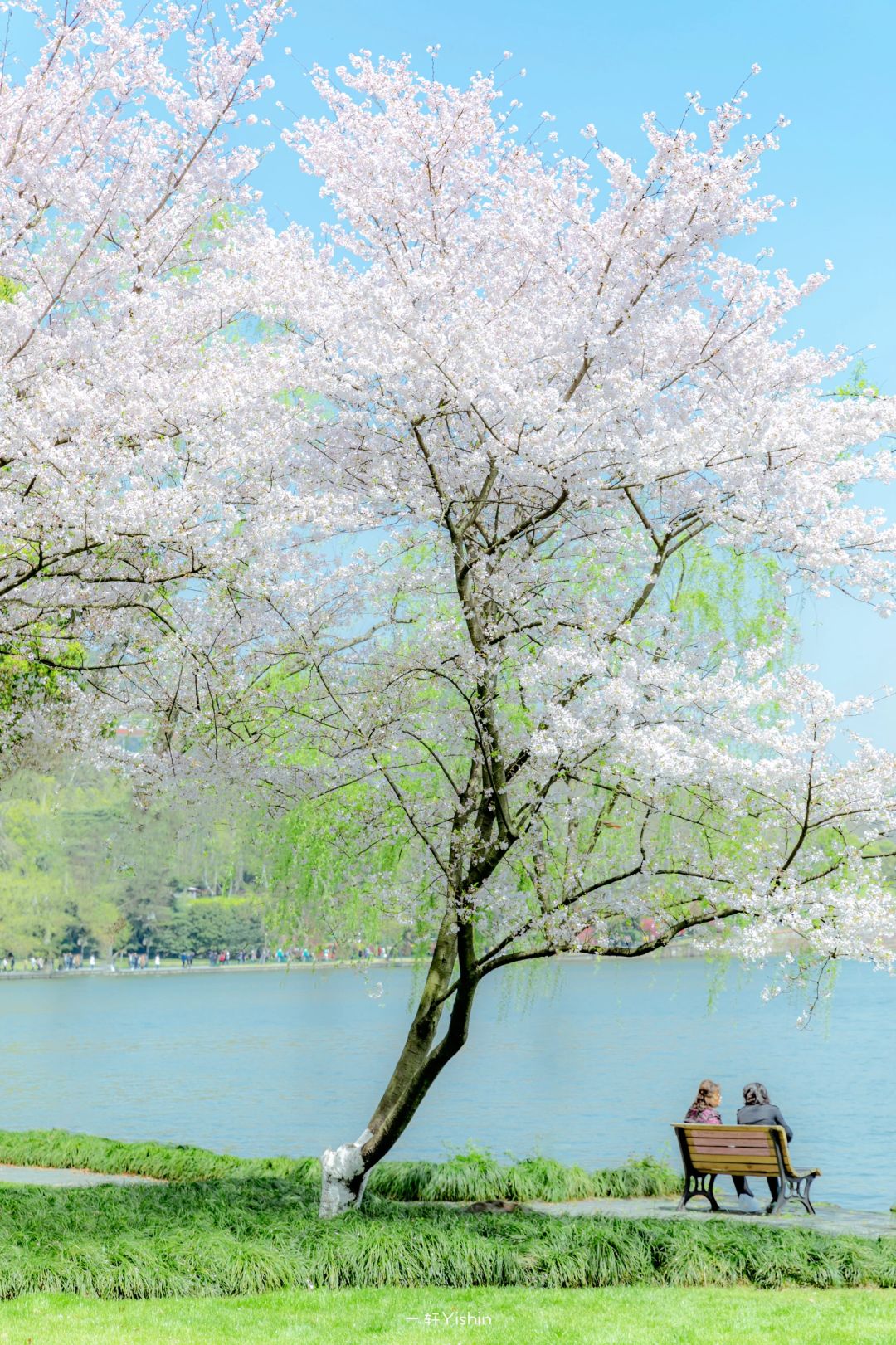 春天的杭州，是一万次的春和景明！