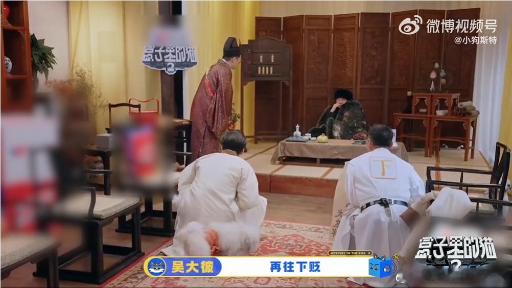 黄子弘凡爆改陈建斌爱宠盒子里的猫中黄子弘凡发言不慎，一句对“王”的评价，就让自己