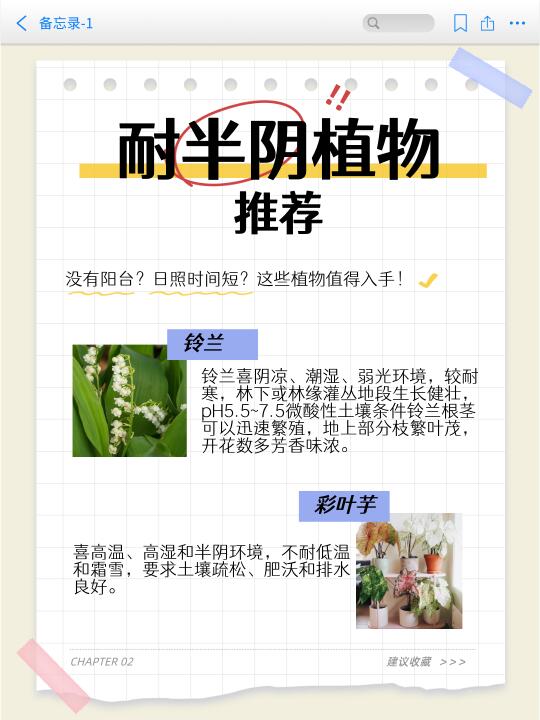 耐半阴植物推荐！