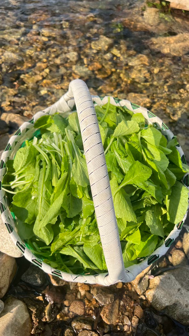 蓝天白云，溪水潺潺，洗一筐小青菜，水水灵灵。 ​​​