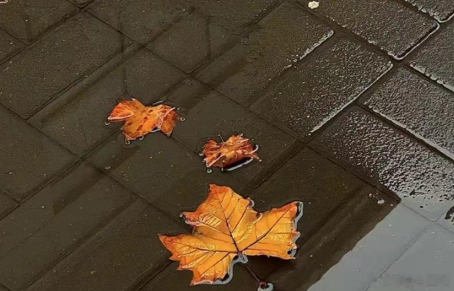 #什么是健康的恋爱关系呢##这是我的心里话##情感# 俗客天涯愁子夜，佳人咫尺醉