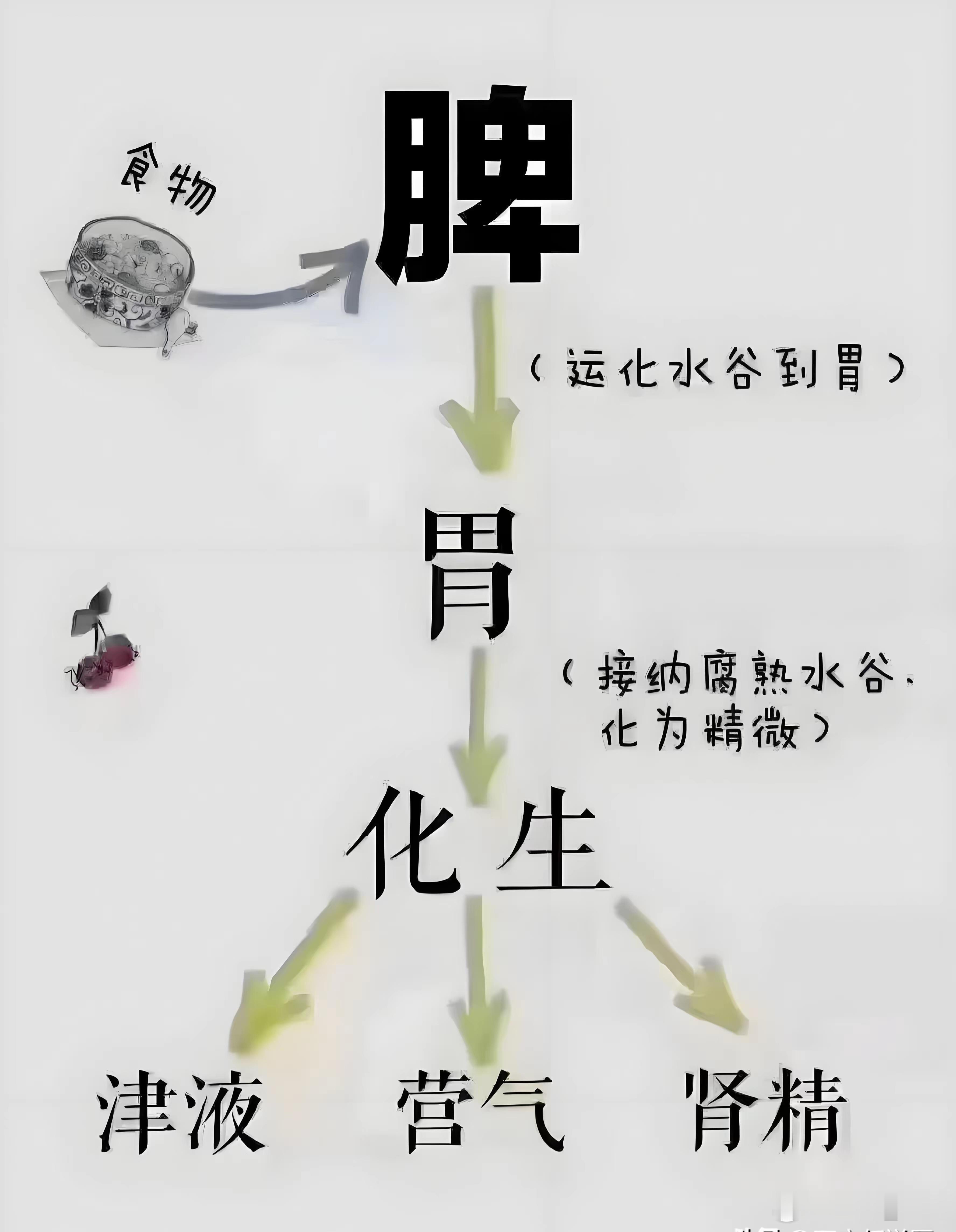 小儿发热之如何用中成药快速退热   小儿发热是常见证，相信很多家长都经历过，真是