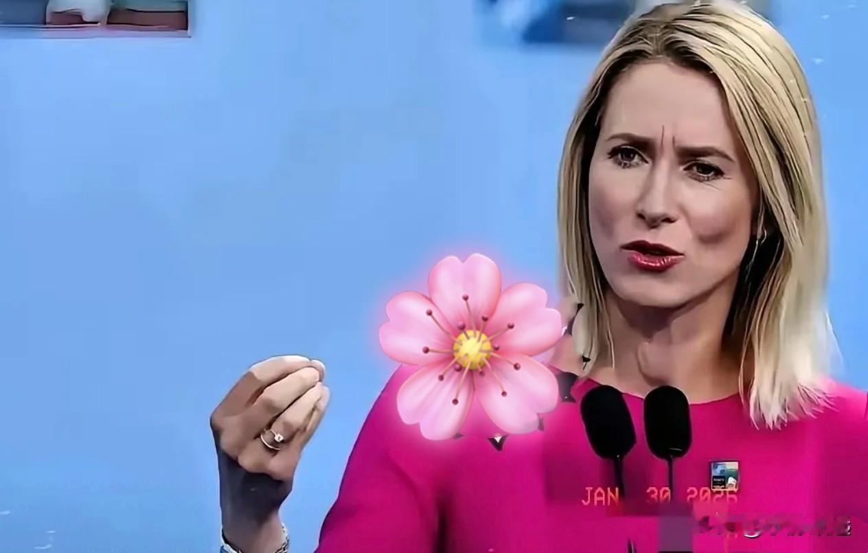 1月29日，欧盟高级官员卡拉斯说俄乌和谈陷僵局：领土分歧难解 美国抽身引变数
 