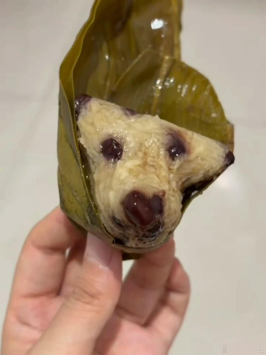 小狗粽子 