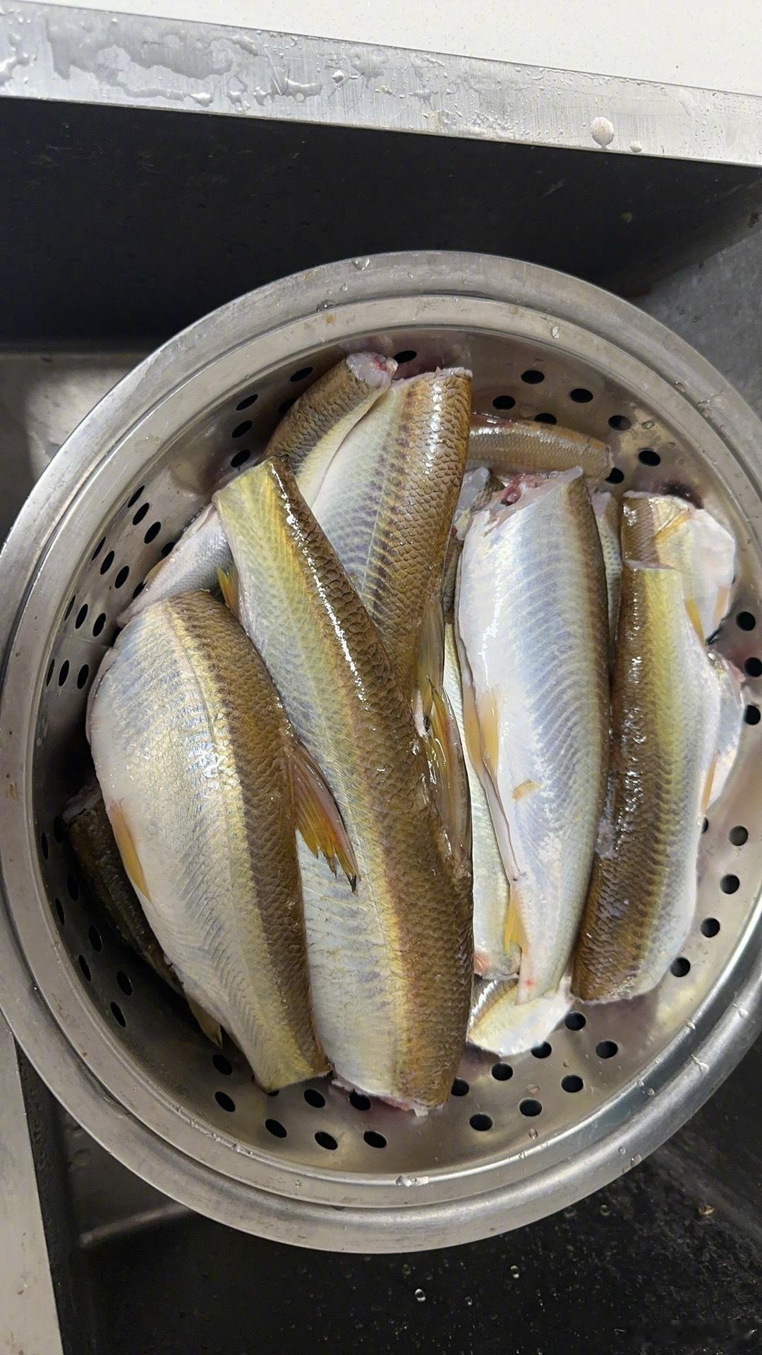 钓鱼这种事情，有时候会玄乎其玄，似乎无理可讲。就拿今天来说，和我钓友同行的钓友，