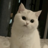 琛颖热聚体育