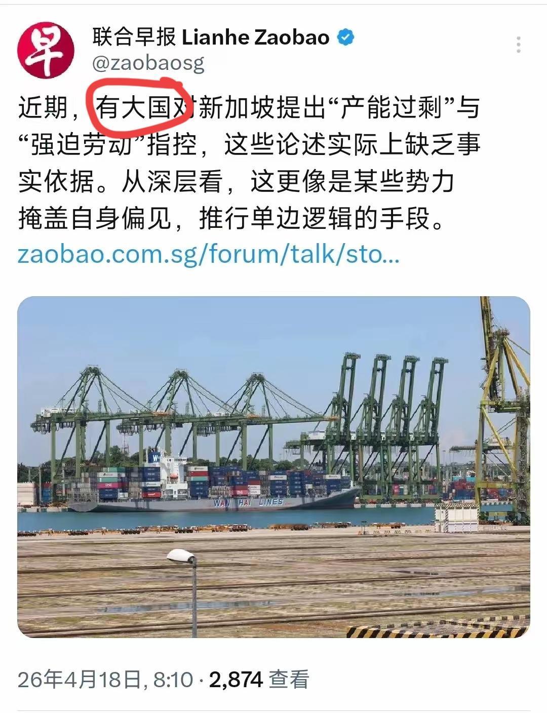[吃瓜群众]新加坡，“产能过剩+强迫劳动”？，这“大国”是谁呢？好难猜啊[灵光一