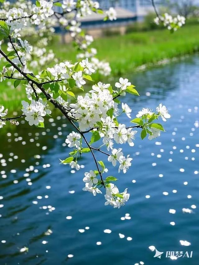 上联   梨花带雨三分媚
下联   飘飘洒洒一片情。