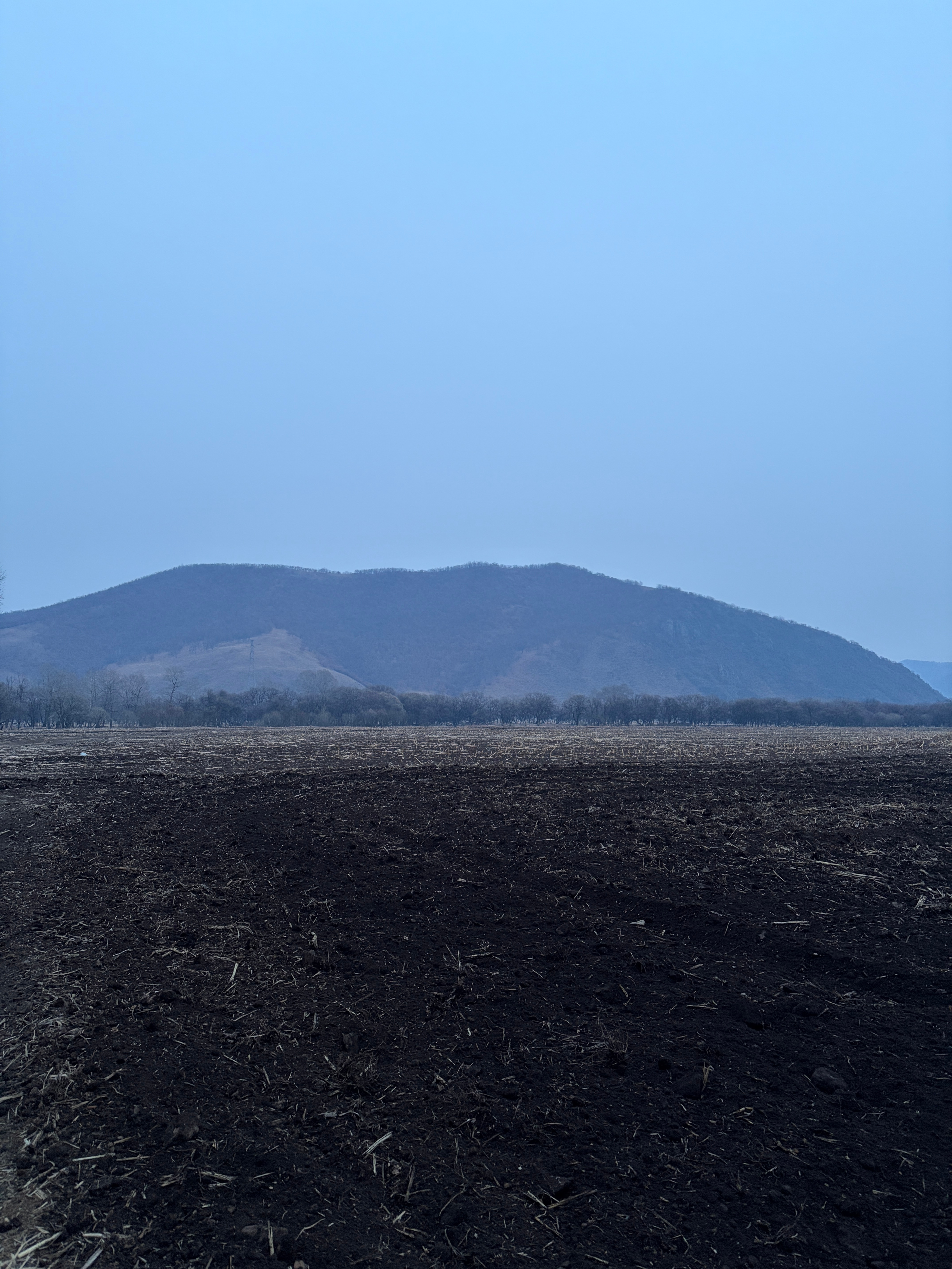 这是我三舅村里有名的地主这片地，目之所及都是他的类似这样的土地，三舅还有两处现在