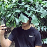 鼠仔聚聚法律