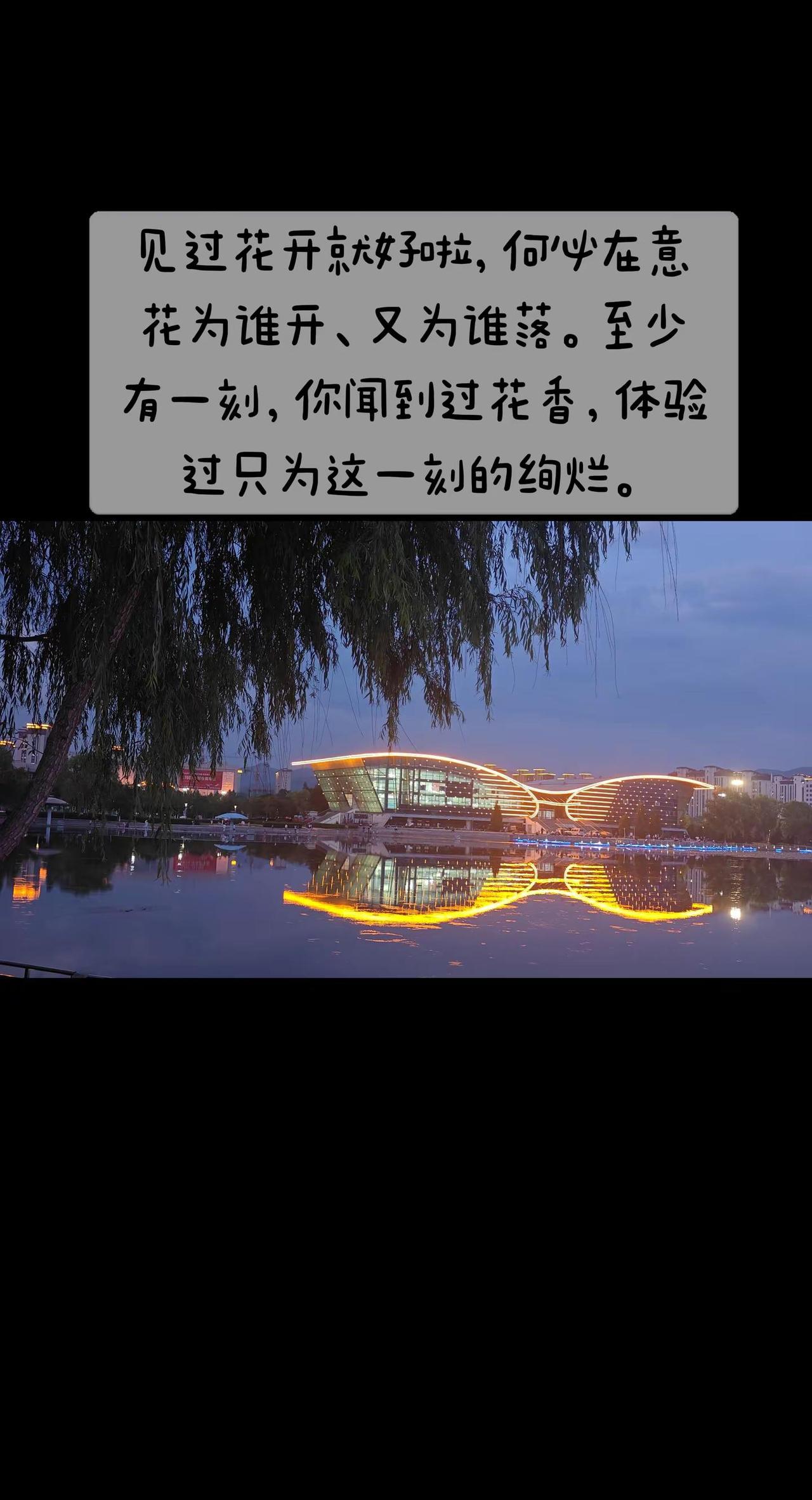 见过花开就好啦，何必在意花为谁开、为谁落。治愈系风景 伊利陪你走过梅罗青春