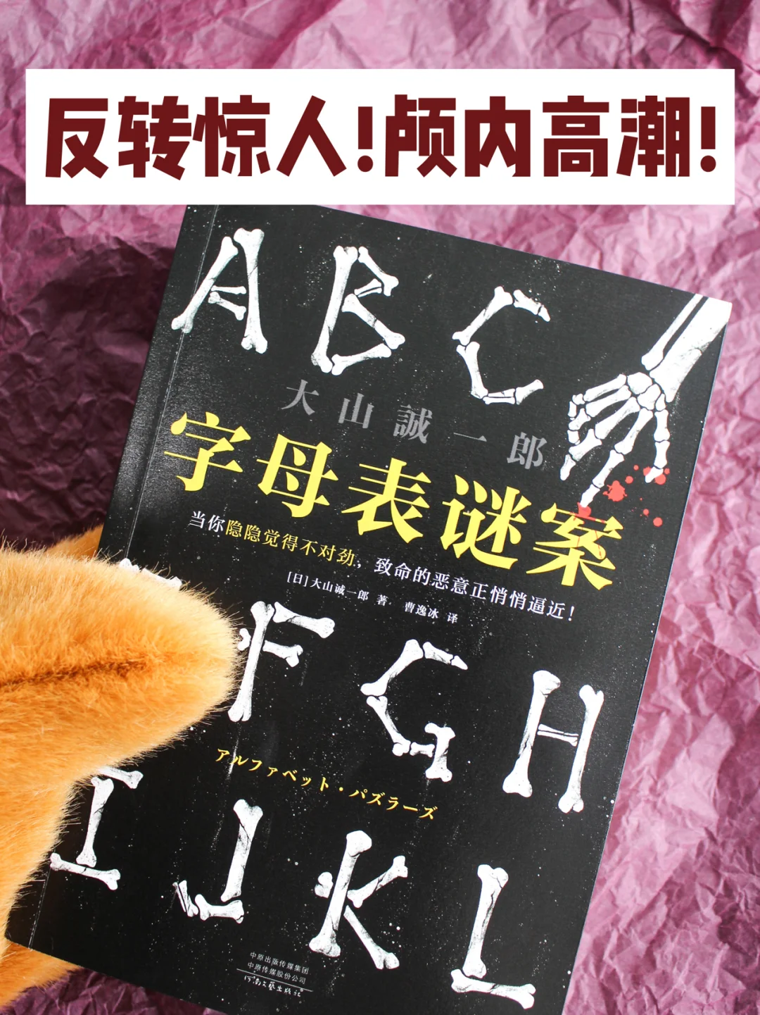 豆瓣9.5|今年最牛逼的推理小说！