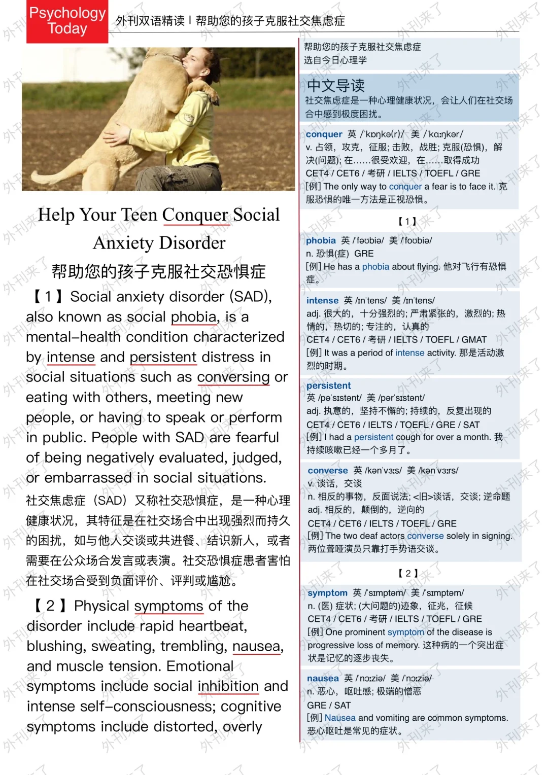 外刊精读227｜社恐人士救赎图鉴～