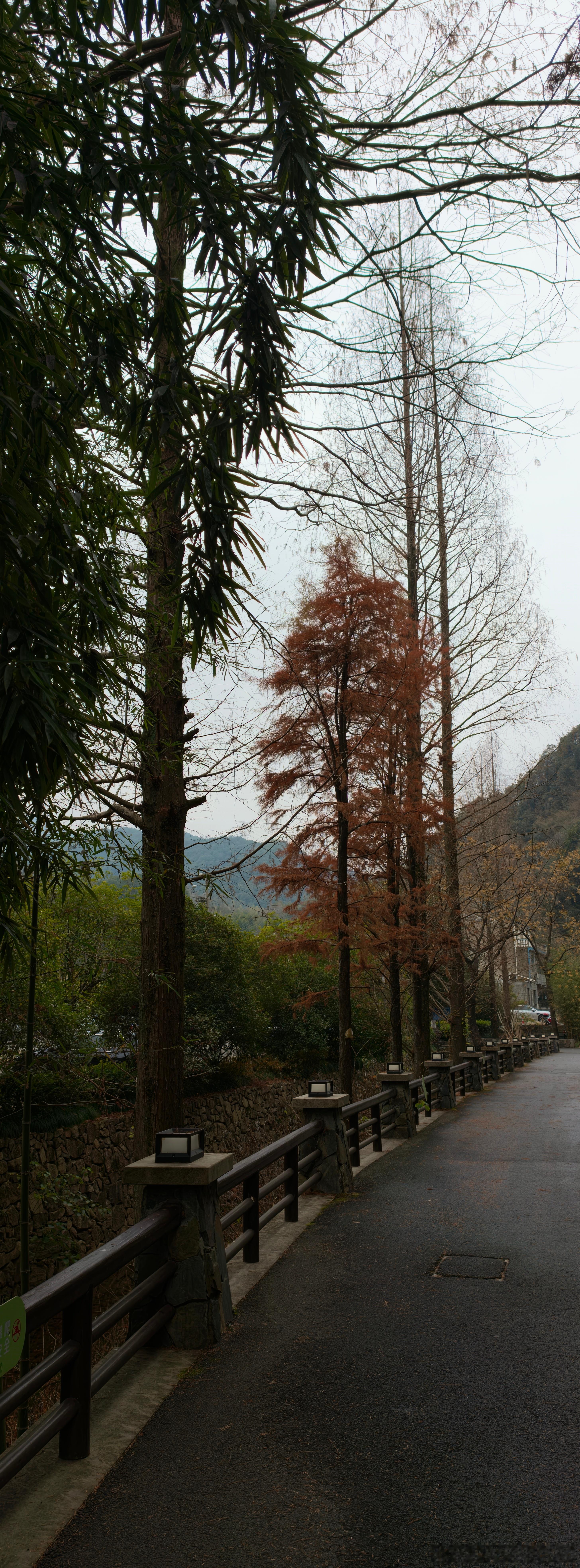 OPPO的xpan拍照模式出片还挺不错 很适合用于竖直场景，或者用于拉长腿