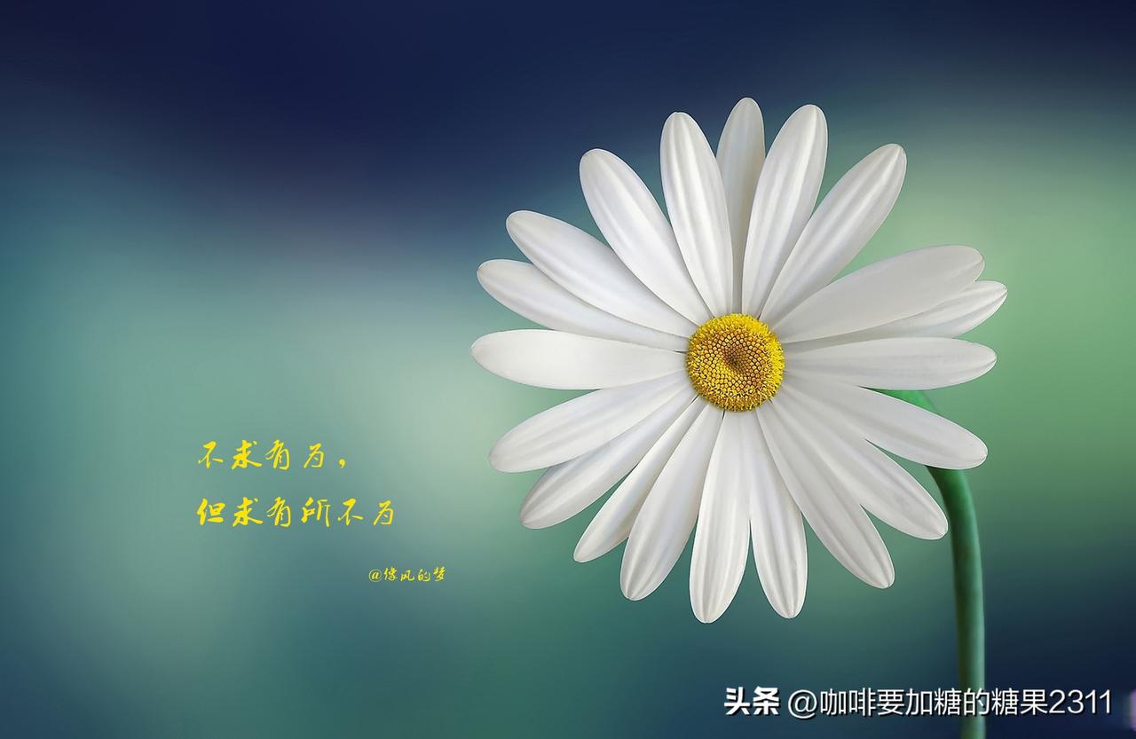 我不是那种太矫情的人，你好好说话我咋都行的人。

昨天，在医院里，我让先生这事多