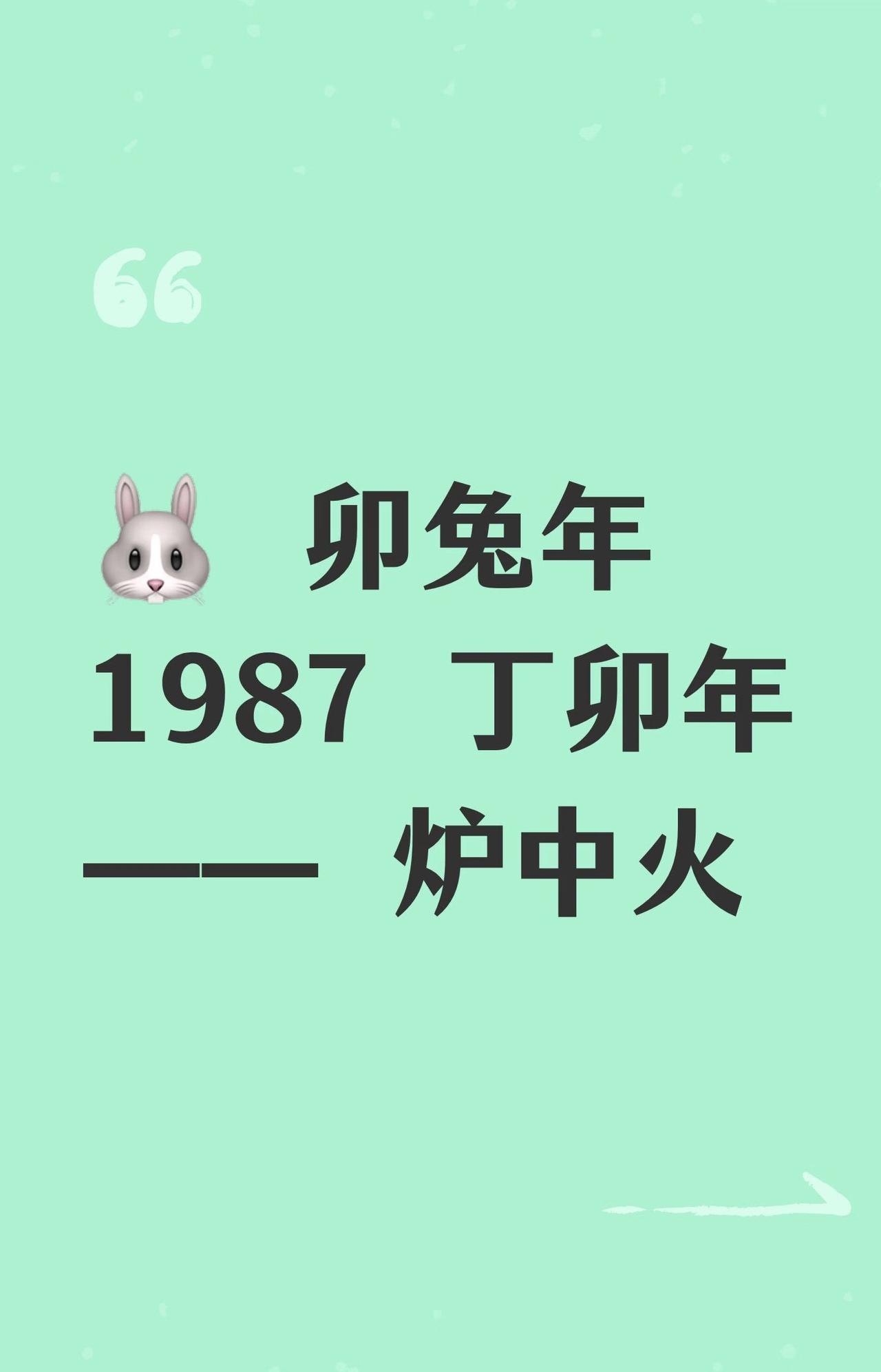 🌸1987年丁卯兔｜炉中火的温柔力量

丁卯之兔，温润如玉，外柔内刚。你的火，