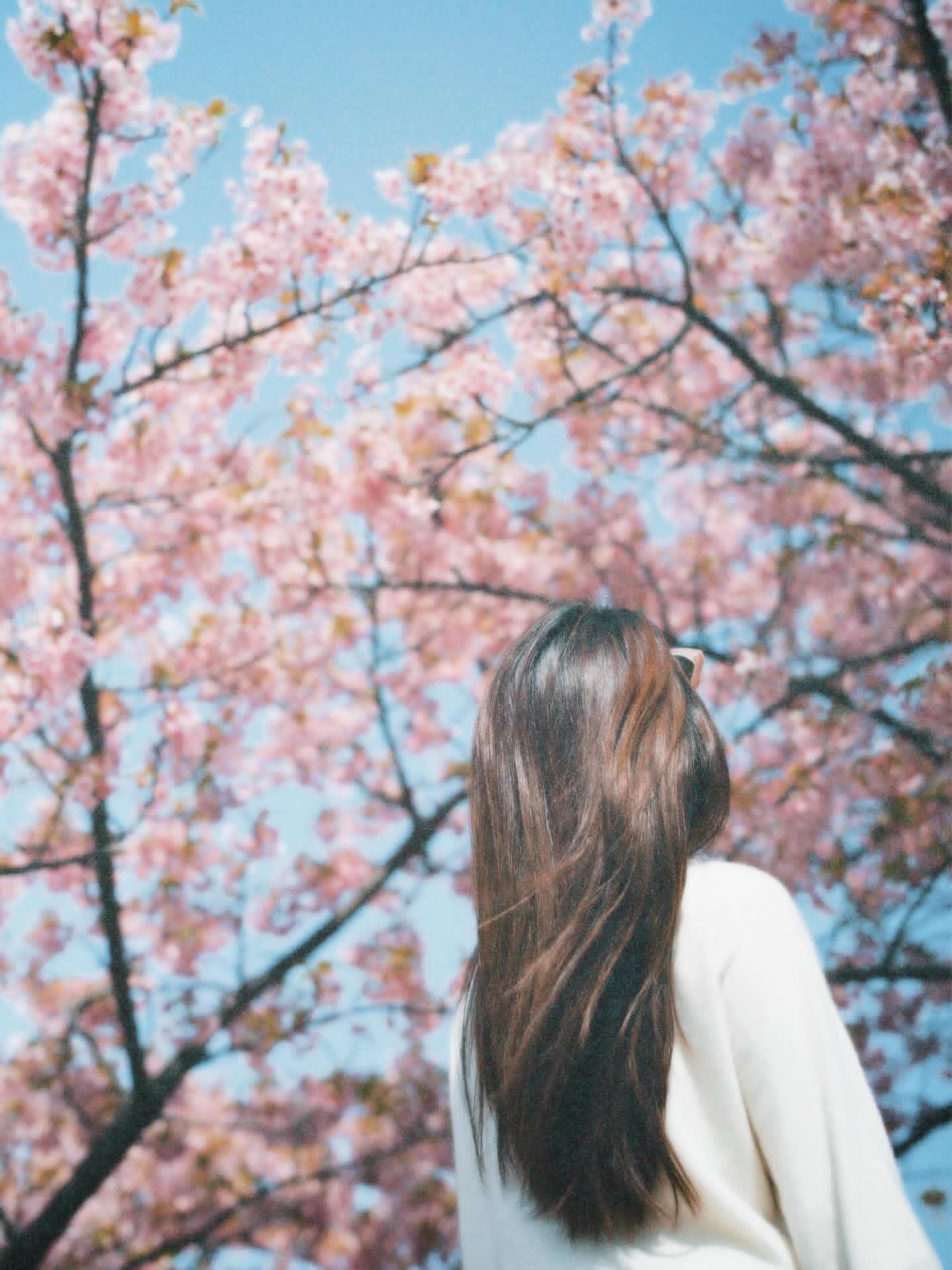 【🆘】田馥甄正式预告个人第6张专辑即将发行！！！终于要来了！