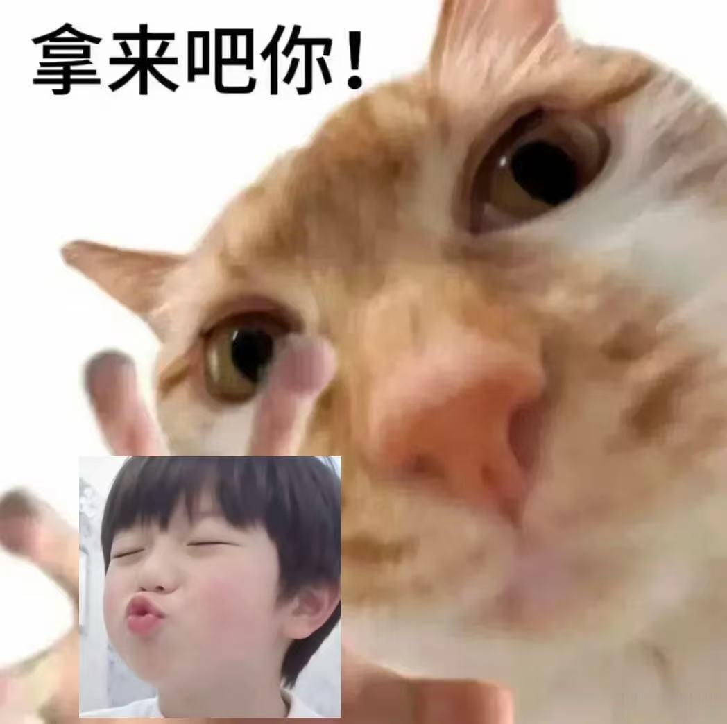 胡军李乃文或将给穆祉丞当助理大哥小助理拟邀穆祉丞 如果消息成真那太精彩了！胡军李