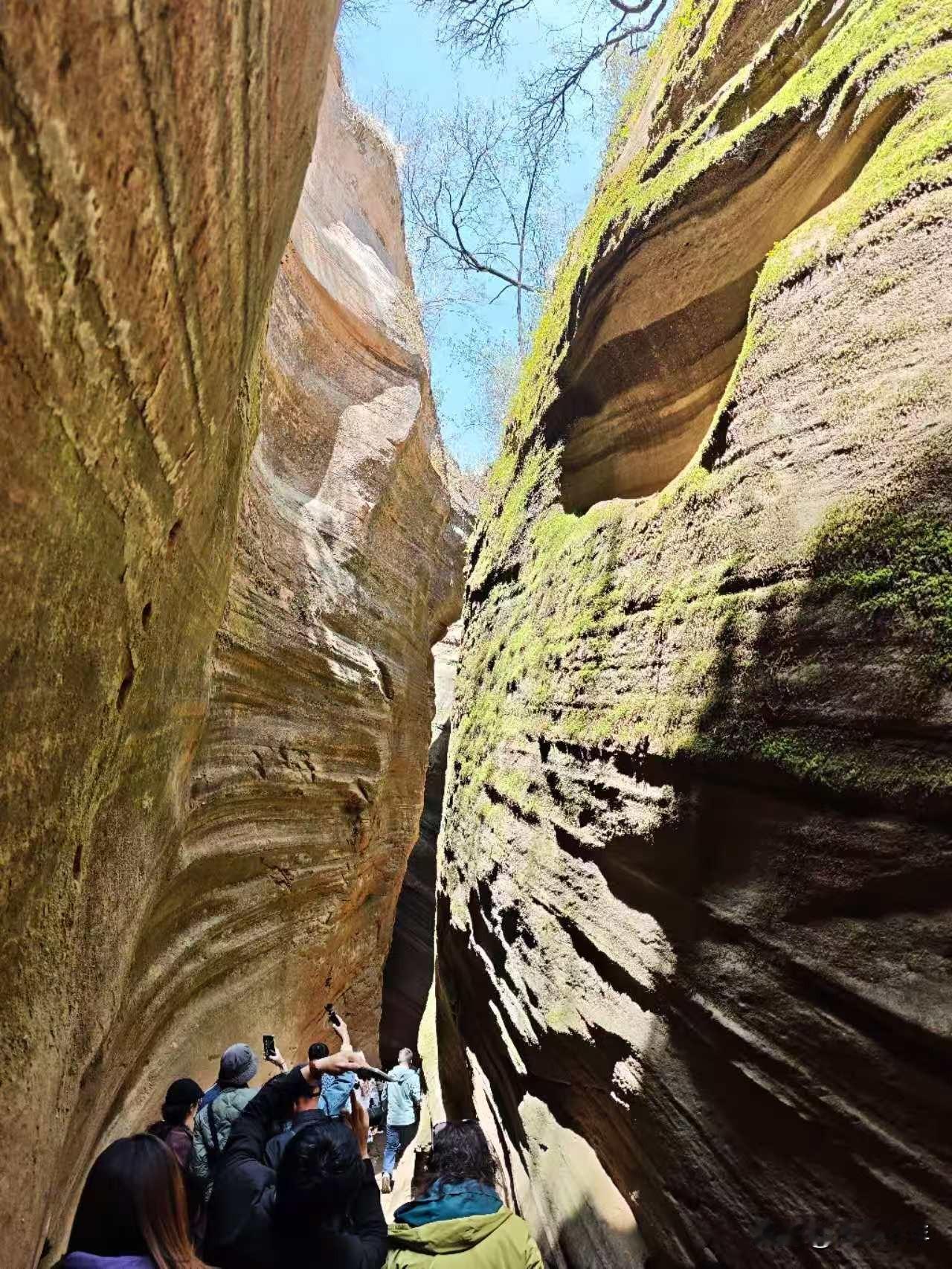 游峡谷，睡窑洞——
 
昨天，上午十点至午后三点，我们漫步游览甘泉县龙巴沟与桦树