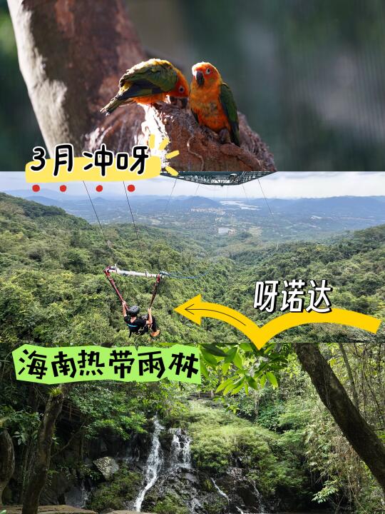 🌿✨ 3月来呀诺达才是正经事！