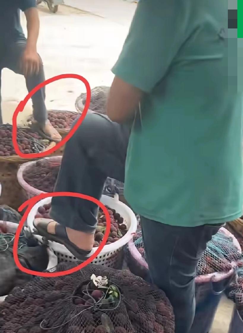 杨梅会长都快哭了，求大家放过，
结果果农又把脚踩在杨梅筐上！！
又毁了！
杨梅卖