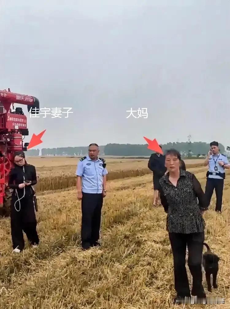 最近襄阳麦收的“割四赔五”事件，真的越看越气，越想越寒心！

事情很简单：河南一