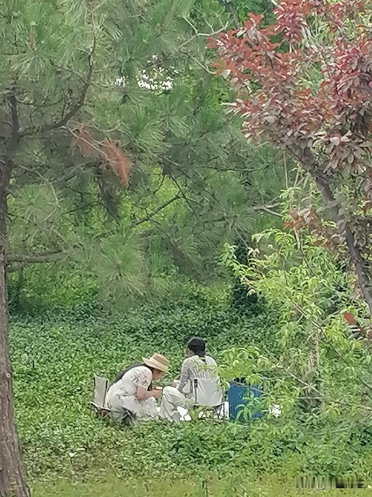 随手拍下初夏美景在绿草如茵的，环境中，沏上一杯热茶，与朋友高谈阔论谈心，谈论国家