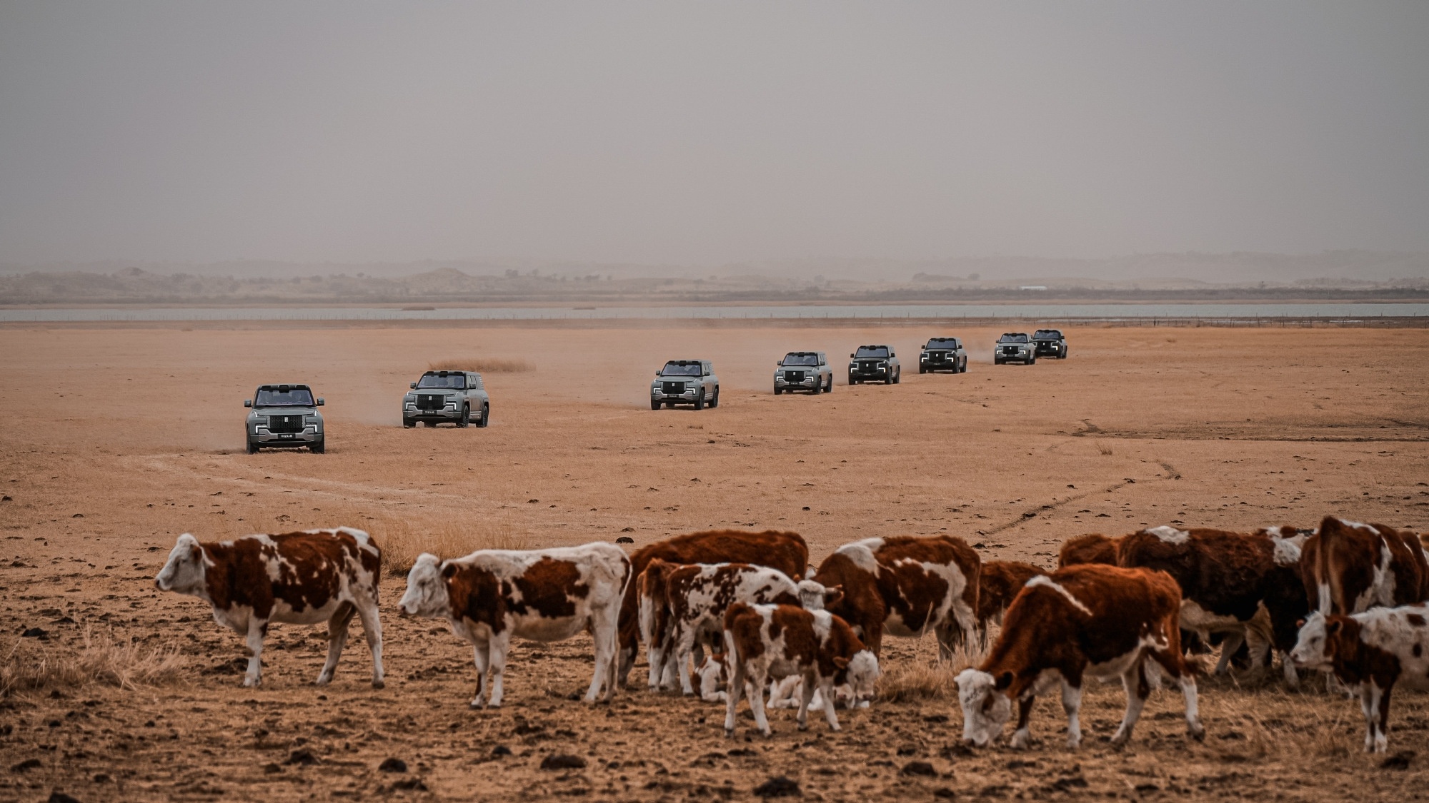 哈哈，演员王志飞真是有意思！北京车展上还说舍不得让仰望U8上山下水，结果转头就开