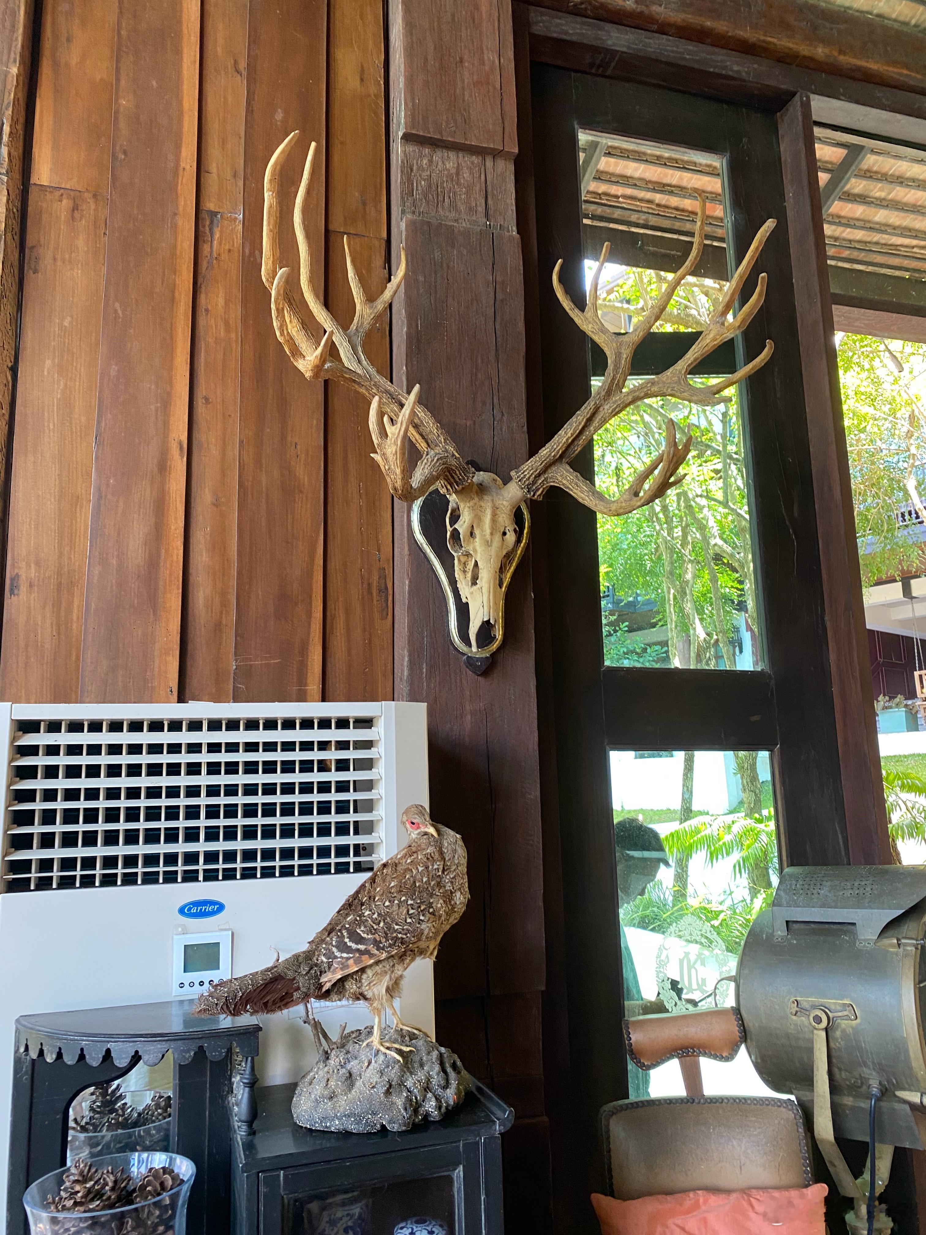 旅行摄影[超话]  素帖山中半日闲。清迈旅行  ​​​