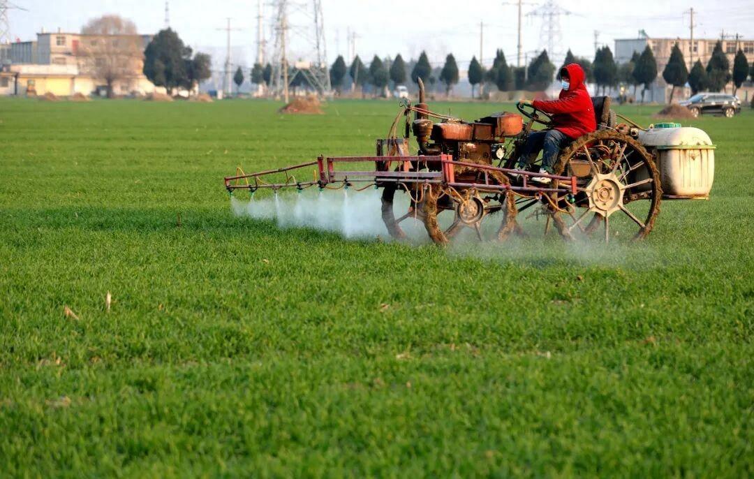 振兴乡村，助力“三农” —— 共绘农业发展新篇章

在广袤的田野上，稻浪翻滚，瓜