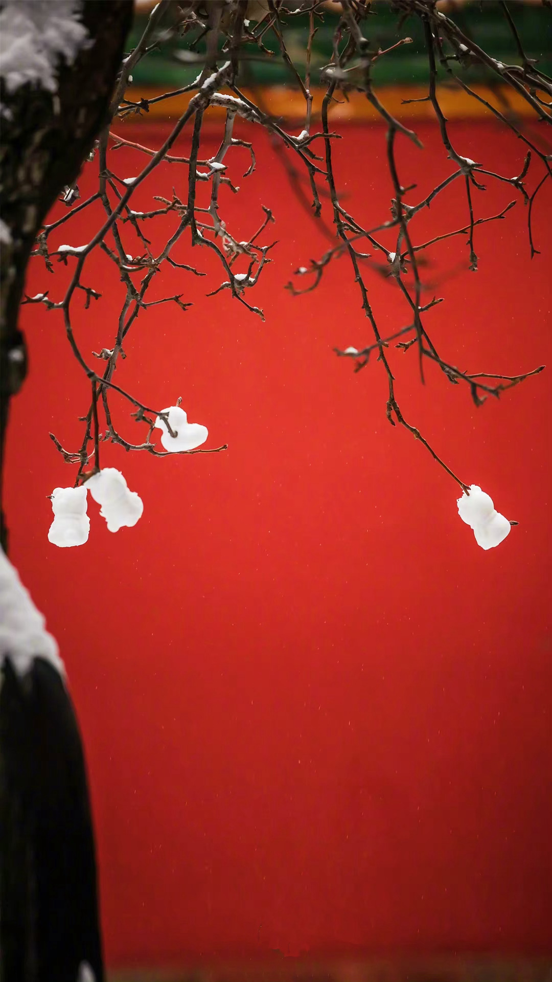 故宫，周一闭馆[偷笑]！！！#北京真的下雪了# ​​​