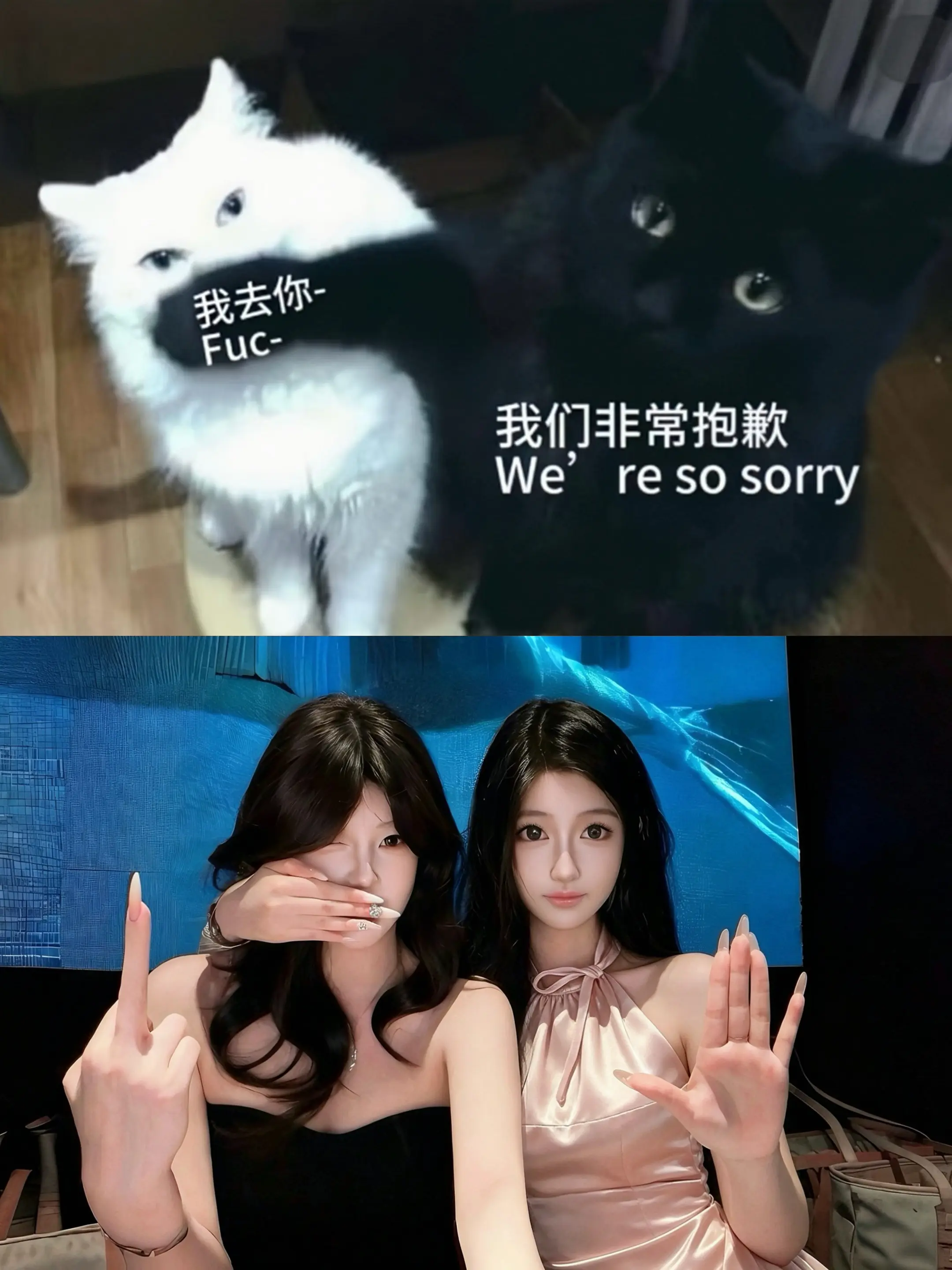 我们非常抱歉