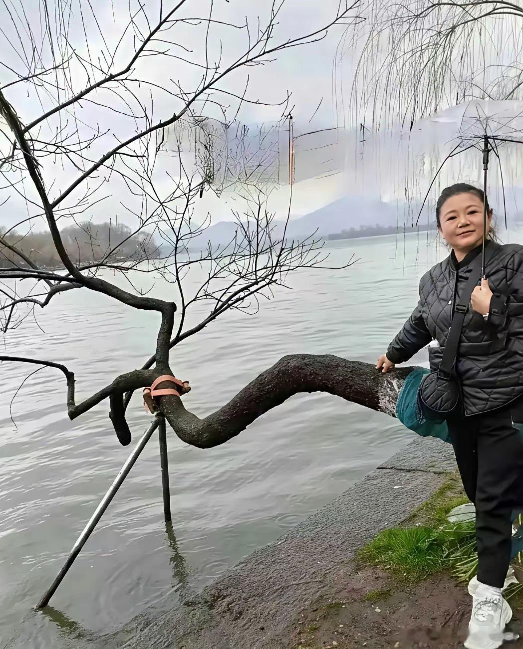 看走眼了 